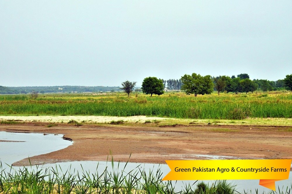 Green Pakistan Agro Farms 
